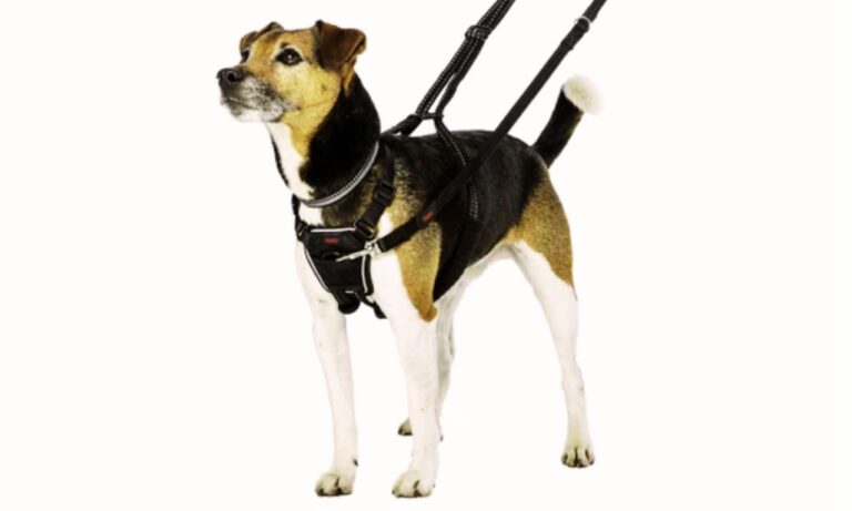 Anti-Pull Dog Leashes
