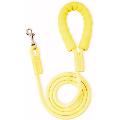 Awpland Soft Foam Dog Leash – 5 FT x 2/5″