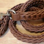 Best Braided Dog Leashes