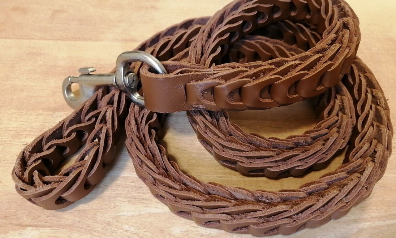 Best Braided Dog Leashes