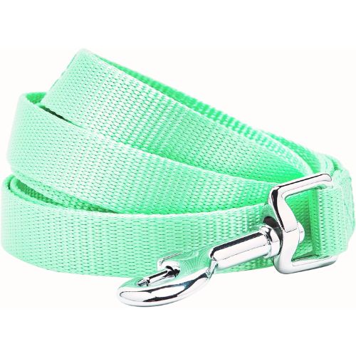.Blueberry Pet Essentials Durable Classic Dog Leash