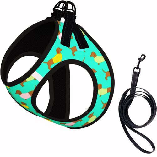 Dachshund Harness & Leash – Youkutuber