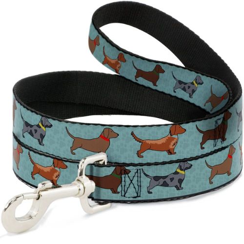 Dog Leash Dachshund 4 Dogs Paws Aquas – 4 Feet Long, 1 Inch Wide