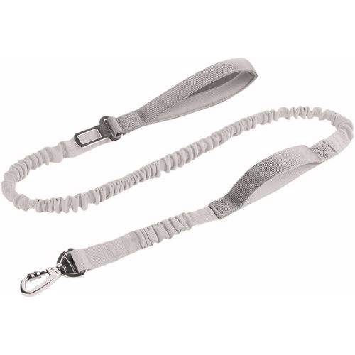 Elastic Bungee Dog Leash