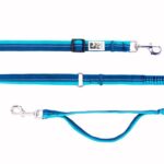 Elastic Dog Leash in 2025