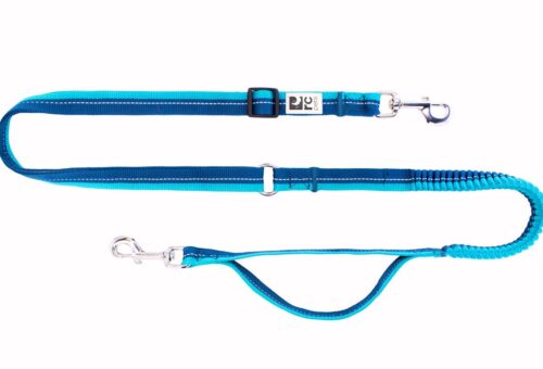 Elastic Dog Leash in 2025