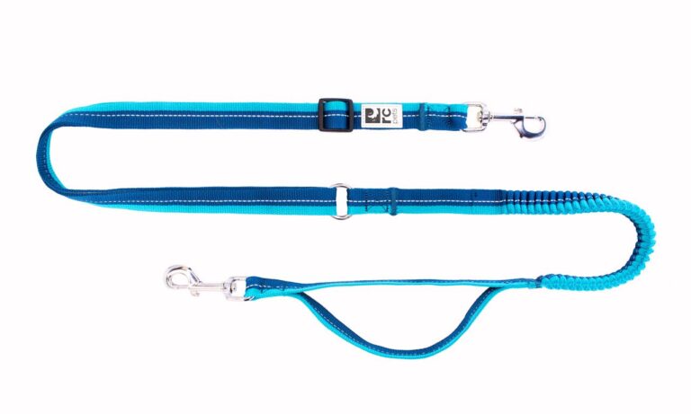 Elastic Dog Leash in 2025