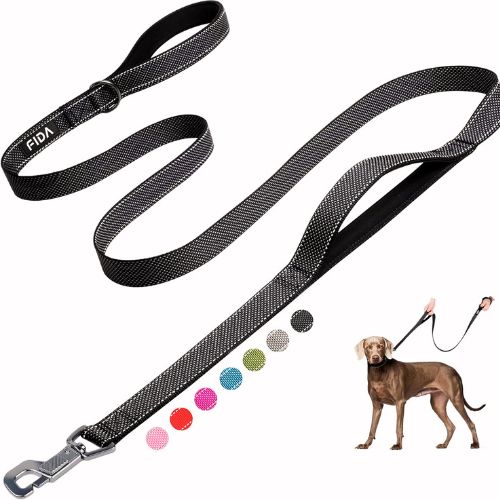 Fida 6 FT Heavy Duty Dog Leash with 2 Comfortable Padded Handles