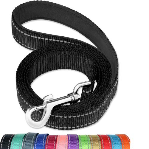 FunTags 6FT Reflective Dog Leash with Soft Padded Handle