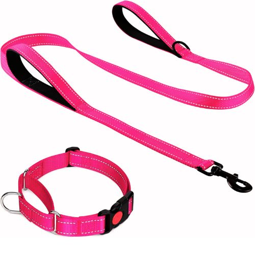 Joytale 6FT Double Handle Dog Leash for Training, Martingale Dog Collar (18.5-25"), Hotpink