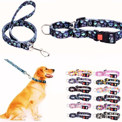 Martingale Collar and Leash for Dogs (Skull, M)