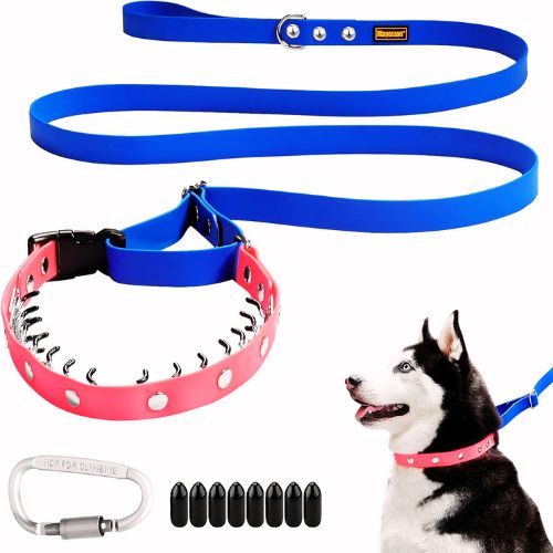 Mayerzon 2-in-1 No Pull Martingale Collar and Leash