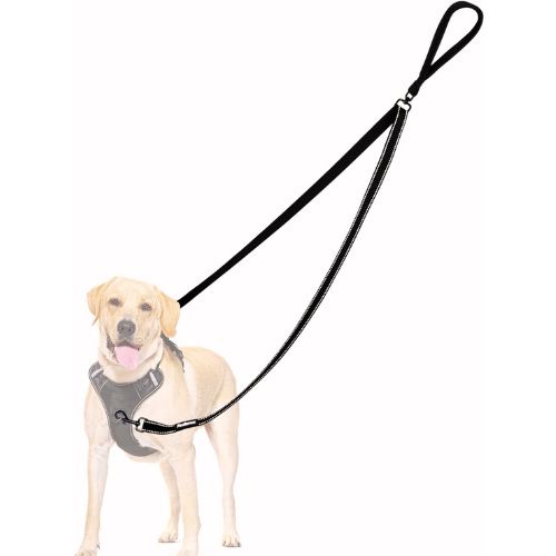 PetBonus Two Point Control Dog Leash 