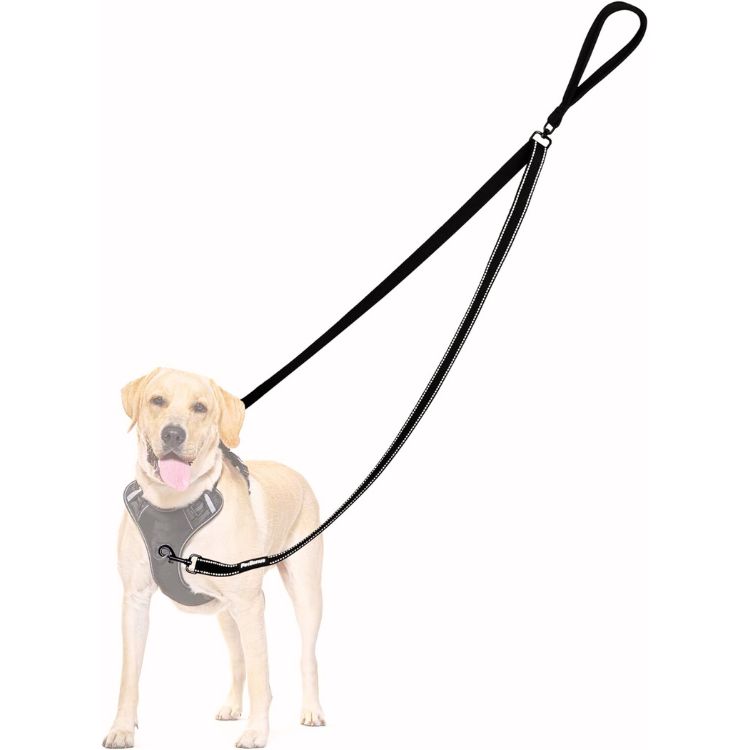 PetBonus Two Point Control Dog Leash – My Experience