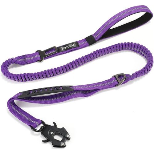 Raipult Shock Absorbing Tactical Dog Leash – Modern Violet (4–6 ft)
