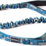 Shock Absorbing Dog Leash