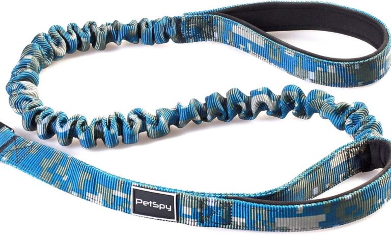 Shock Absorbing Dog Leash