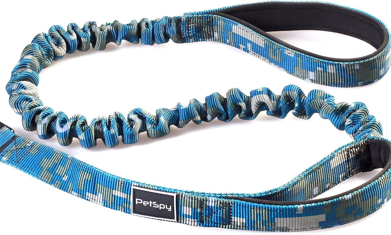 Shock Absorbing Dog Leash