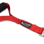 Short Dog Leash
