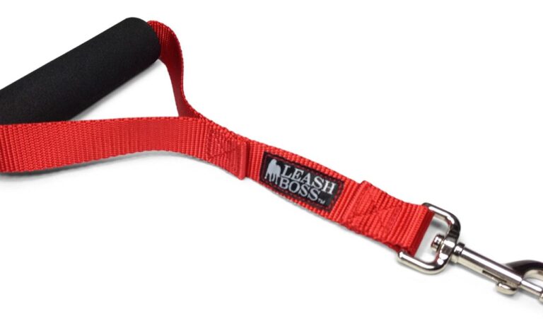 Short Dog Leash