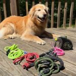 Soft Dog Leash