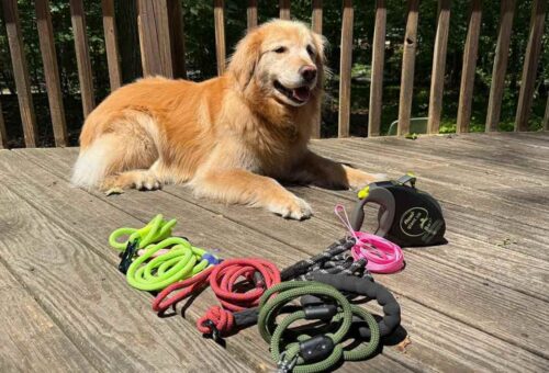 Soft Dog Leash