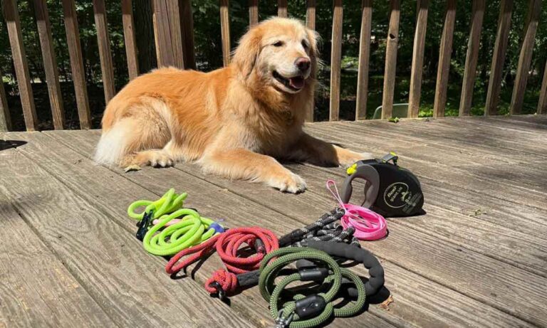Soft Dog Leash
