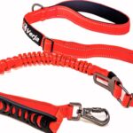 multifunctional dog leash