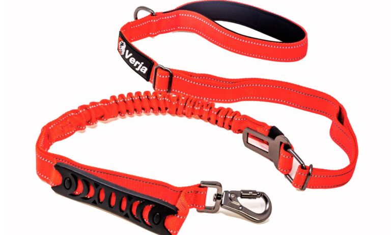 multifunctional dog leash