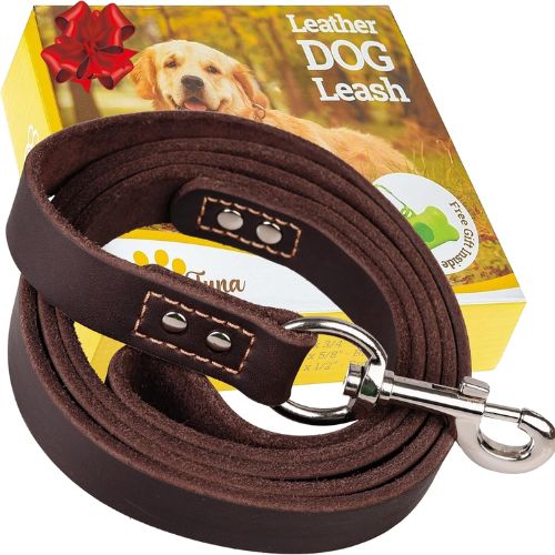ADITYNA Leather Dog Leash (6 ft x ¾ inch)