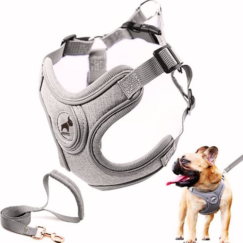 Dog Frenchie Harness with Leash Set (M, Gray)