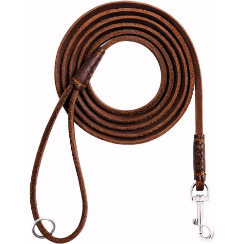 Dosuyi Dog Slip Lead for Small Dogs (Yorkshire Terriers & Chihuahuas