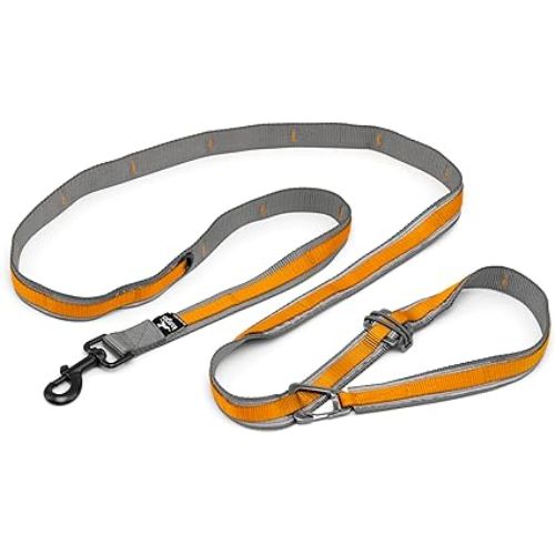 Kurgo Quantum 6-in-1 Dog Leash (Hands-Free & Reflective)