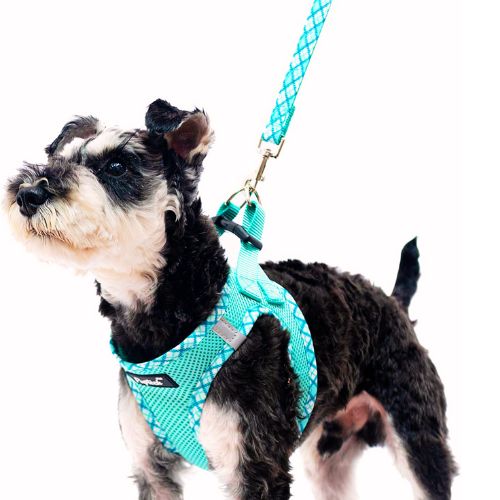 PUPTECK Dog Harness and Leash Set for Small Medium Dogs, Green S