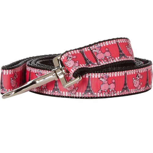 Pet Dog & Cat Nylon Collar or Leash, "Poodles in Paris" 1" w x 4 ft