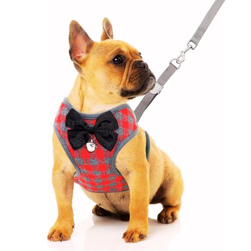 Rypet Small Dog Harness and Leash Set – Quick Overview