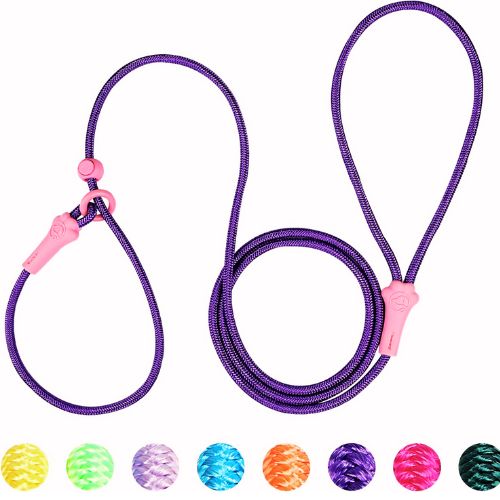 Wellbro Genuine Leather Dog Leash, 6Ft Super Thin and Lightweight